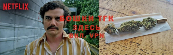 дмт Алексеевка