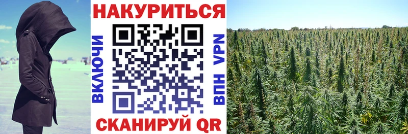как найти   Межгорье  МЕГА как зайти  МАРИХУАНА планчик 